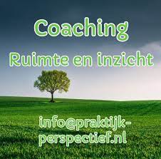 perspectief coaching