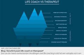 wat doet een lifestyle coach