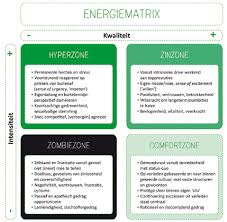 functionele analyse coaching