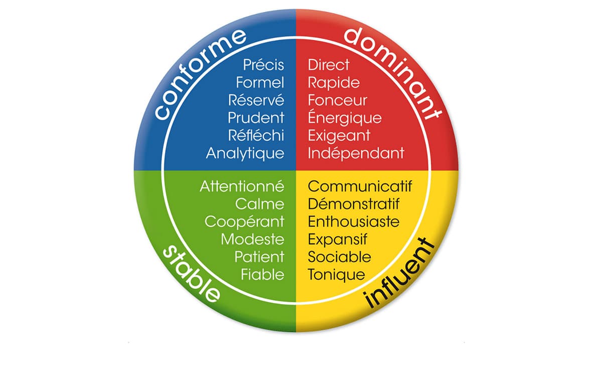 disc coaching