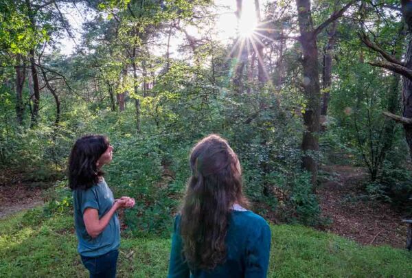 innersteps natuurcoaching