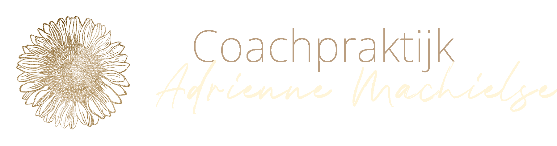coach praktijk